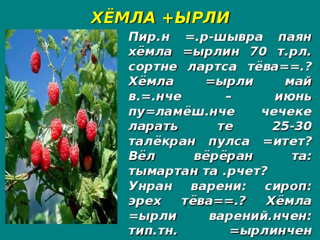 ХЁМЛА +ЫРЛИ Пир.н =.р-шывра паян хёмла =ырлин 70 т.рл. сортне лартса тёва==.? Хёмла =ырли май в.=.нче – июнь пу=ламёш.нче чечеке ларать те 25-30 талёкран пулса =итет? Вёл вёрёран та: тымартан та .рчет? Унран варени: сироп: эрех тёва==.? Хёмла =ырли варений.нчен: тип.тн. =ырлинчен в.ретн. шыва шёнса пёсёлсан .=е==.?