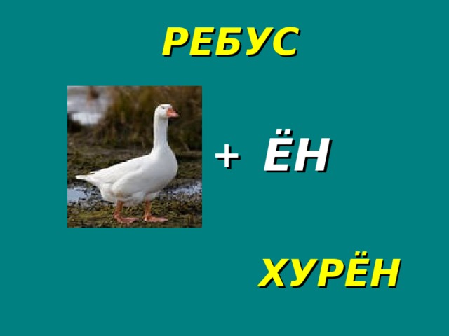 РЕБУС + ЁН ХУРЁН