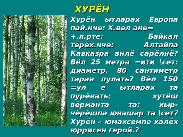 ХУРЁН Хурён ытларах Европа пай.нче: Х.вел анё= +.п.рте: Байкал тёрёх.нче: Алтайпа Кавказра анлё сарёлнё? Вёл 25 метра =ити \сет: диаметр. 80 сантиметр таран пулать? Вёл 150 =ул е ытларах та пурёнать: хутёш вёрманта та: хыр-чёрёшпа юнашар та \сет? Хурён – юмахсемпе халёх юррисен герой.?