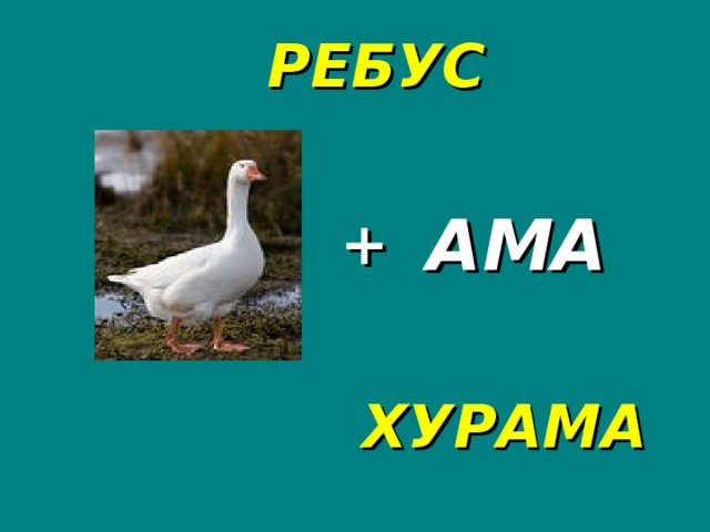 РЕБУС + АМА ХУРАМА