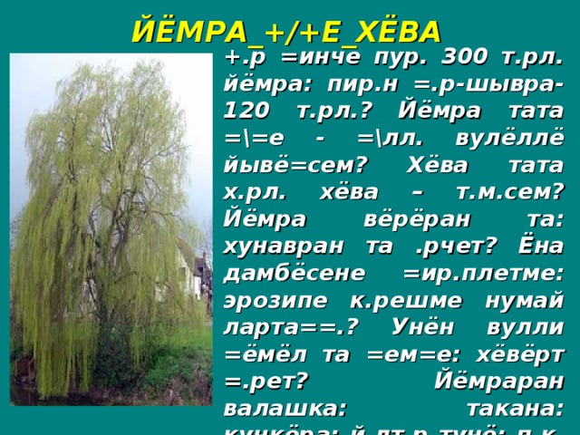 ЙЁМРА_+/+Е_ХЁВА +.р =инче пур. 300 т.рл. йёмра: пир.н =.р-шывра-120 т.рл.? Йёмра тата =\=е - =\лл. вулёллё йывё=сем? Хёва тата х.рл. хёва – т.м.сем? Йёмра вёрёран та: хунавран та .рчет? Ёна дамбёсене =ир.плетме: эрозипе к.решме нумай ларта==.? Унён вулли =ёмёл та =ем=е: хёвёрт =.рет? Йёмраран валашка: такана: кункёра: й.лт.р тунё: п.к. те авнё? Хёваран вара лёпё: кёрман: пукан-кресло =ыхнё?