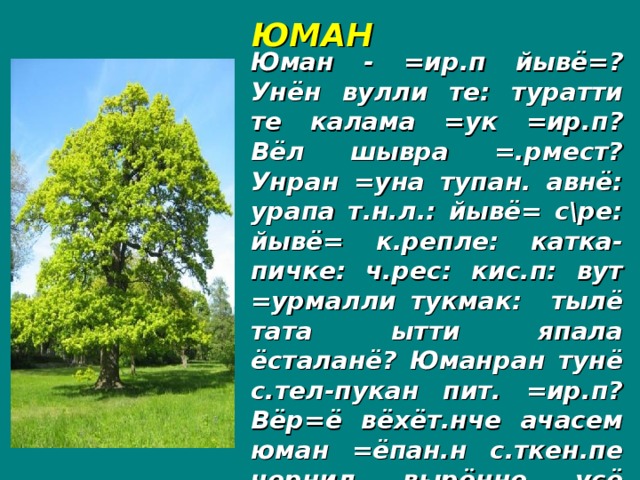 ЮМАН Юман - =ир.п йывё=? Унён вулли те: туратти те калама =ук =ир.п? Вёл шывра =.рмест? Унран =уна тупан. авнё: урапа т.н.л.: йывё= с\ре: йывё= к.репле: катка-пичке: ч.рес: кис.п: вут =урмалли тукмак: тылё тата ытти япала ёсталанё? Юманран тунё с.тел-пукан пит. =ир.п? Вёр=ё вёхёт.нче ачасем юман =ёпан.н с.ткен.пе чернил вырённе усё курнё?