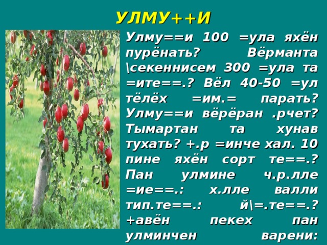 УЛМУ++И Улму==и 100 =ула яхён пурёнать? Вёрманта \секеннисем 300 =ула та =ите==.? Вёл 40-50 =ул тёлёх =им.= парать? Улму==и вёрёран .рчет? Тымартан та хунав тухать? +.р =инче хал. 10 пине яхён сорт те==.? Пан улмине ч.р.лле =ие==.: х.лле валли тип.те==.: й\=.те==.? +авён пекех пан улминчен варени: повидло: мармелад п.=ере==.?