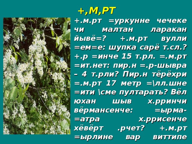 +,М,РТ +.м.рт =уркунне чечеке чи малтан ларакан йывё=? +.м.рт вулли =ем=е: шупка сарё т.сл.? +.р =инче 15 т.рл. =.м.рт =ит.нет: пир.н =.р-шывра – 4 т.рли? Пир.н тёрёхри =.м.рт 17 метр =\лл.шне =ити \сме пултарать? Вёл юхан шыв х.рринчи вёрмансенче: =ырма-=атра х.ррисенче хёвёрт .рчет? +.м.рт =ырлине вар виттипе аптракан =ынна =итере==.?