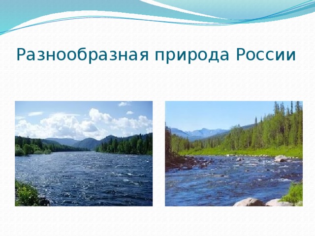 Разнообразная природа России