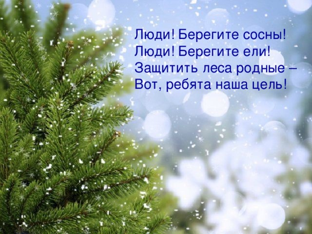 Люди! Берегите сосны! Люди! Берегите ели! Защитить леса родные – Вот, ребята наша цель!