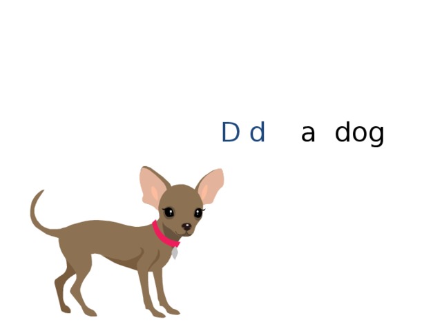 D d a dog