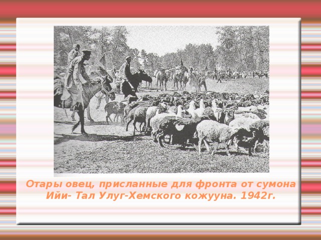 Отары овец, присланные для фронта от сумона Ийи- Тал Улуг-Хемского кожууна. 1942г.