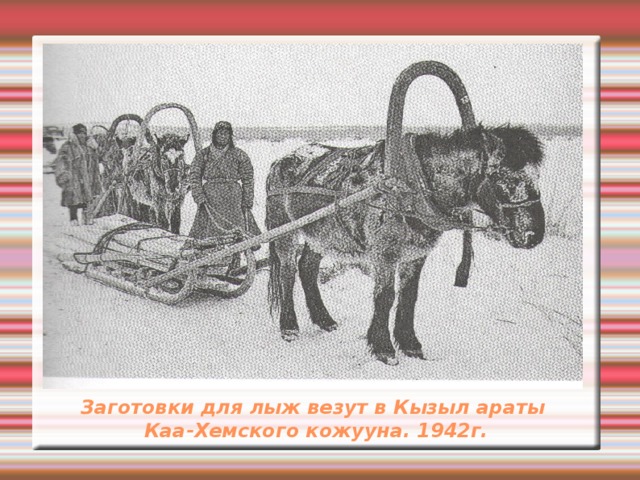 Заготовки для лыж везут в Кызыл араты  Каа-Хемского кожууна. 1942г.