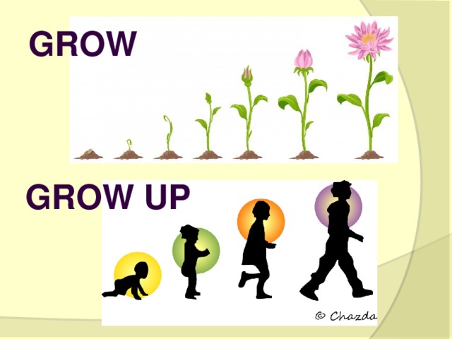 grow Grow up