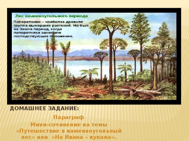 Домашнее задание: Параграф Мини-сочинение на темы «Путешествие в каменноугольный лес» или «На Ивана – купала».