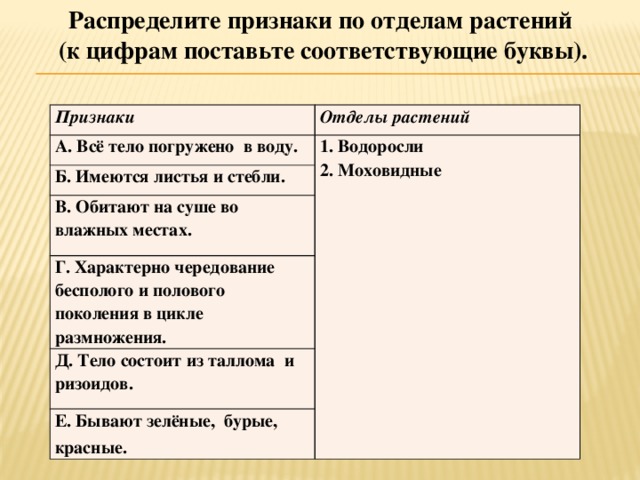 Распределите признаки по отделам растений  (к цифрам поставьте соответствующие буквы). Признаки  Отделы растений А. Всё тело погружено в воду. 1. Водоросли Б. Имеются листья и стебли. 2. Моховидные В. Обитают на суше во влажных местах. Г. Характерно чередование бесполого и полового поколения в цикле размножения. Д. Тело состоит из таллома и ризоидов. Е. Бывают зелёные, бурые, красные.