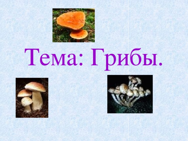 Окружающий мир класс грибы. Тема грибы. Окружающий мир тема грибы. Грибы презентация 3 класс. Тема урока окружающий мир грибы.