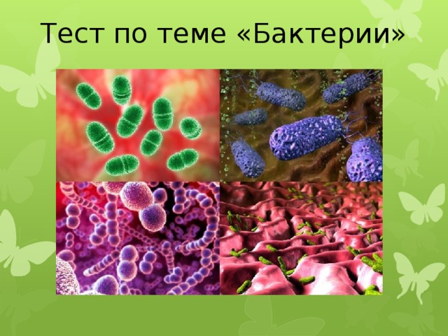 Тест по теме «Бактерии»