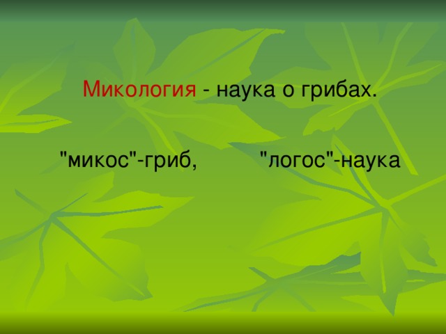 Микология - наука о грибах. 