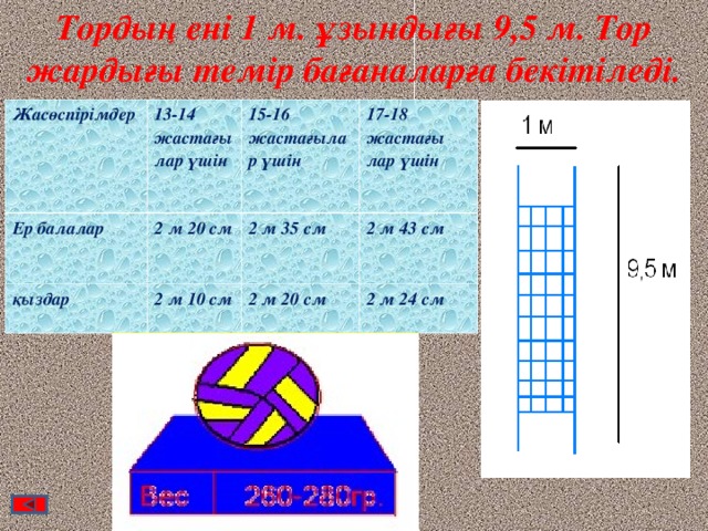 Тордың ені 1 м. ұзындығы 9,5 м. Тор жардығы темір бағаналарға бекітіледі. Жасөспірімдер 13-14 жастағы лар үшін Ер балалар 15-16 жастағылар үшін 2 м 20 см қыздар 17-18 жастағы лар үшін 2 м 35 см 2 м 10 см 2 м 43 см 2 м 20 см 2 м 24 см