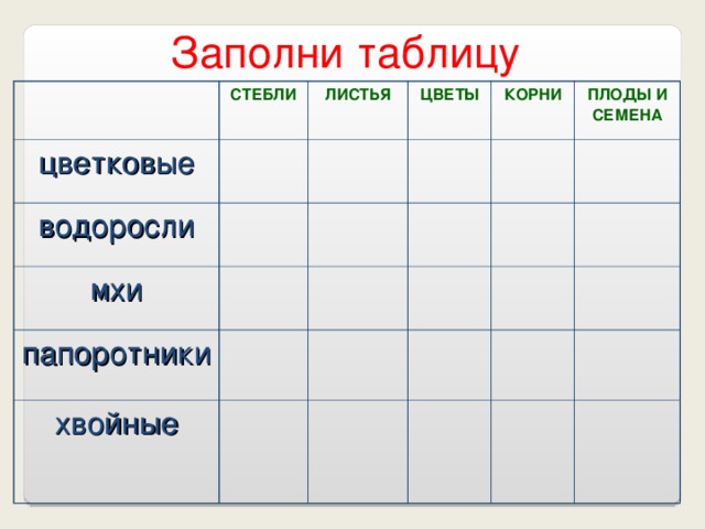 Разнообразие растений 3 класс