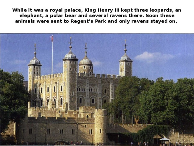 While it was a royal palace, King Henry III kept three leopards, an elephant, a polar bear and several ravens there. Soon these animals were sent to Regent’s Park and only ravens stayed on.