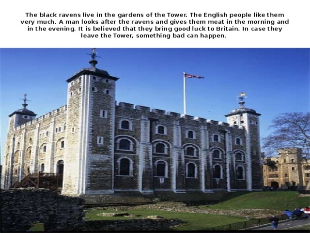 The black ravens live in the gardens of the Tower. The English people like them very much. A man looks after the ravens and gives them meat in the morning and in the evening. It is believed that they bring good luck to Britain. In case they leave the Tower, something bad can happen.