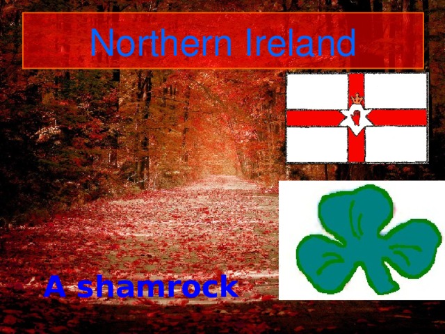 Northern Ireland A shamrock