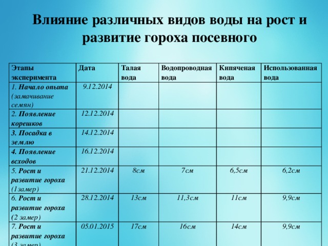 Влияние различных видов воды на рост и развитие гороха посевного Этапы эксперимента Дата 1. Начало опыта 9.12.2014 (замачивание семян) 2. Появление корешков Талая вода 12.12.2014 Водопроводная   3. Посадка в землю вода   14.12.2014   4. Появление всходов Кипяченая вода 5. Рост и развитие гороха     Использованная вода   16.12.2014 21.12.2014   (1замер)     6. Рост и развитие гороха   ( 2 замер) 7. Рост и развитие гороха 28.12.2014 8см       7см   (3 замер) 05.01.2015 13см     17см 6,5см 11,3см 6,2см 16см 11см 9,9см 14см 9,9см