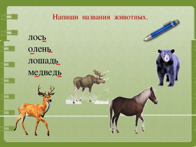 Название в конце. Животные с мягким знаком. Животные с мягким знаком на конце. Животные на конце мягкий знак. Названия животных с мягким знаком.