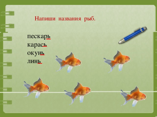 Рыба без буквы. Названия рыб с мягким знаком на конце. Рыбы на конце мягкий знак. Название рыб на конце мягкий знак. Рыбы на ь знак в конце.