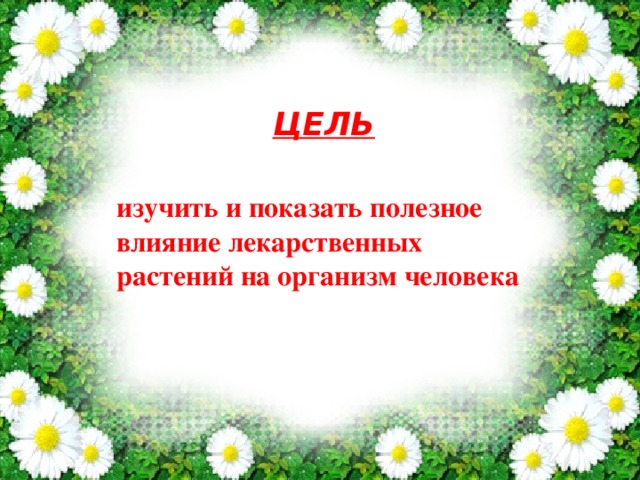 ЦЕЛЬ   изучить и показать полезное влияние лекарственных растений на организм человека