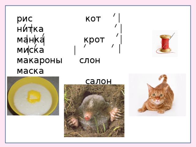 рис кот нитка манка крот миска макароны слон маска крупа салон киска