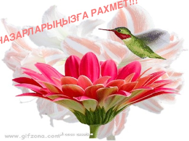 НАЗАРЛАРЫҢЫЗҒА РАХМЕТ!!!