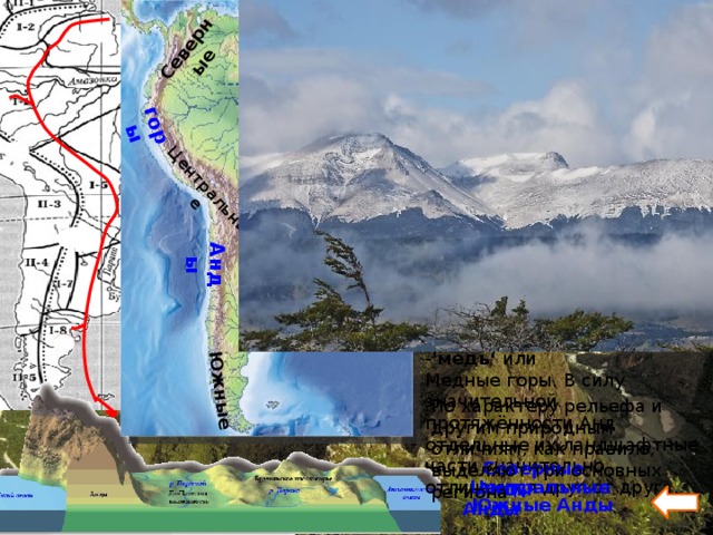 горы Анды Северные Центральные Южные ГОРНЫЙ ЗАПАД Горы Анды это уникальная горная система протянувшая почти по всей территории Южной Америки. Они являются самой длинной горной системой, ее протяженность - 9 тыс. км., а так же одной из высоких, но все таки не самая высокая, но это пока, ведь горы до сих пор продолжают расти. Название  Анды  чаще всего объясняют от  инкского:  anta - 'медь‘ или Медные горы. В силу значительной протяжённости Анд отдельные их ландшафтные части значительно отличаются друг от друга. По характеру рельефа и другим природным отличиям, как правило, выделяют три основных региона   Северные Анды  Центральные Анды  Южные Анды