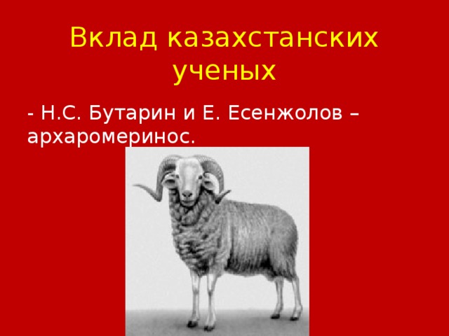 Вклад казахстанских ученых - Н.С. Бутарин и Е. Есенжолов – архаромеринос.