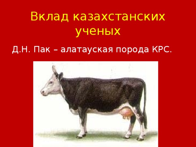 Вклад казахстанских ученых Д.Н. Пак – алатауская порода КРС.