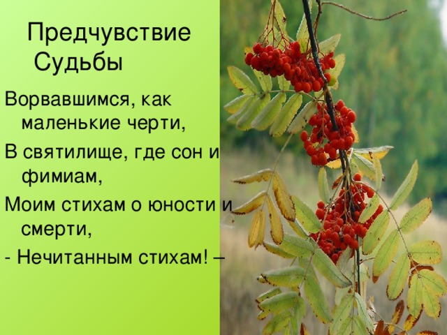 Предчувствие  Судьбы Ворвавшимся, как маленькие черти, В святилище, где сон и фимиам, Моим стихам о юности и смерти, - Нечитанным стихам! –