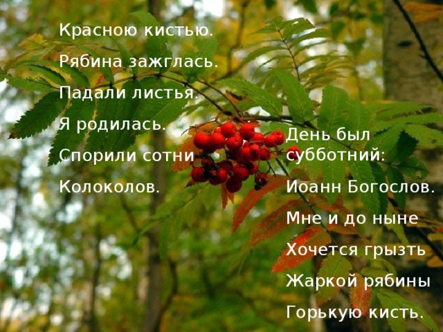 Цветаева осень стихотворение. Стихотворение про рябину. Осенняя рябина стихи. Стихотворение красною кистью. Красная рябина стих.