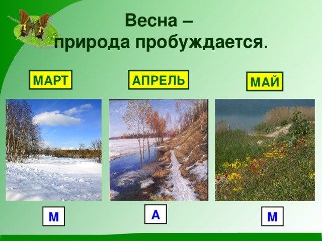 Весна –  природа пробуждается . МАРТ АПРЕЛЬ МАЙ А М М