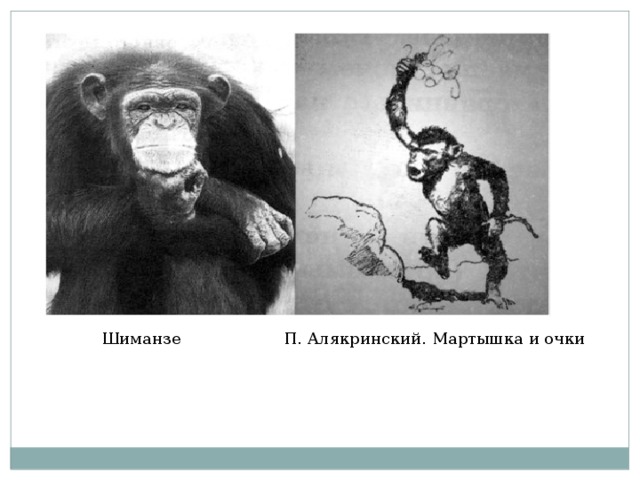 Шиманзе П. Алякринский. Мартышка и очки