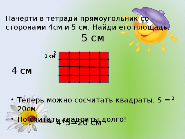 Картинка имеет форму прямоугольника со сторонами 10 и 20 см