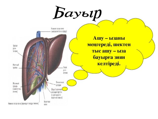 Ашу – ызаны меңгереді, шектен тыс ашу – ыза бауырға зиян келтіреді.