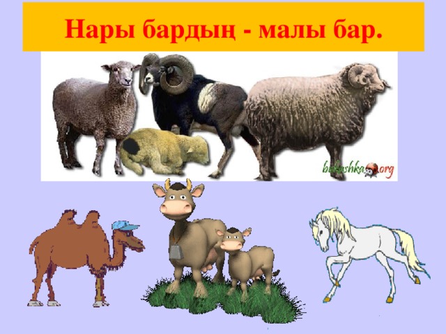 Нары бардың - малы бар.