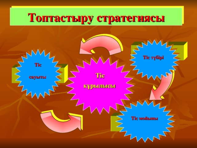 Топтастыру стратегиясы Тіс түбірі     Тіс  сауыты   Тіс құрылысы      Тіс мойыны