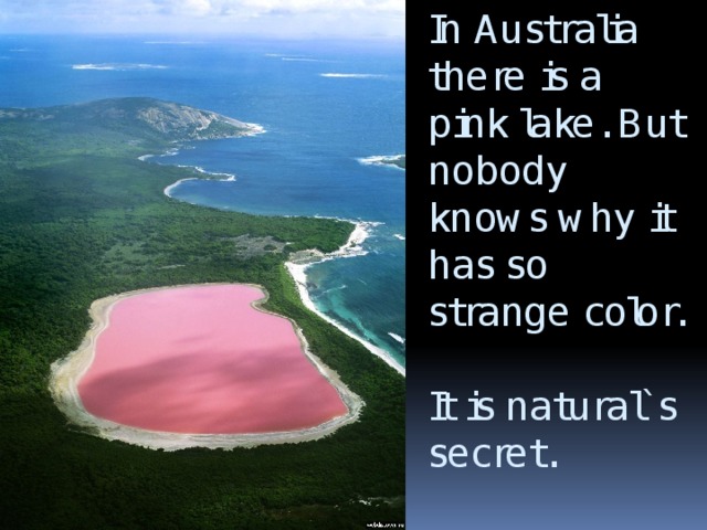 In Australia there is a pink lake. But nobody knows why it has so strange color.  It is natural`s secret.