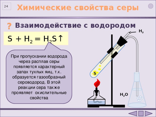 Химические свойства серы 23 Взаимодействие с водородом  ? Н 2 S + H 2 = H 2 S ↑ При пропускании водорода через расплав серы появляется характерный запах тухлых яиц, т.к. образуется газообразный сероводород. В этой реакции сера также проявляет окислительные свойства S Н 2 О . 24
