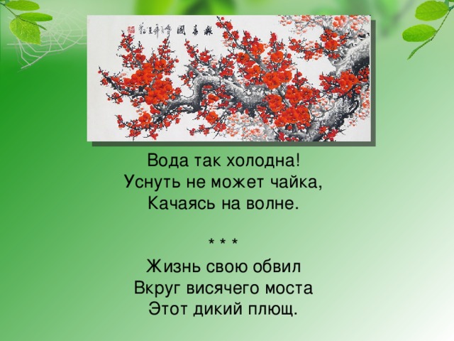 * * *  Вода так холодна!  Уснуть не может чайка,  Качаясь на волне.   * * *  Жизнь свою обвил  Вкруг висячего моста  Этот дикий плющ.