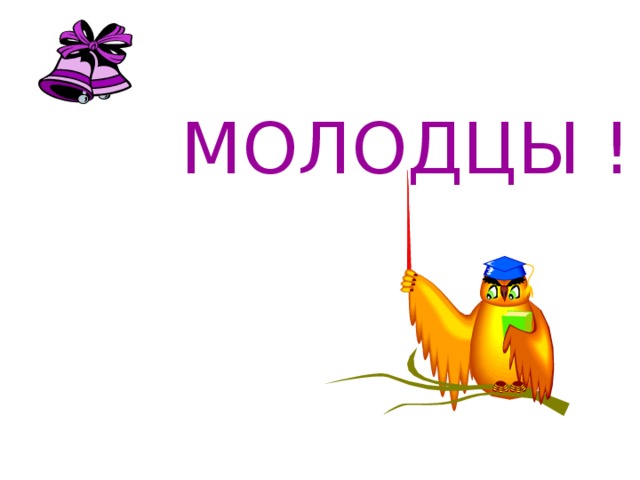 МОЛОДЦЫ !