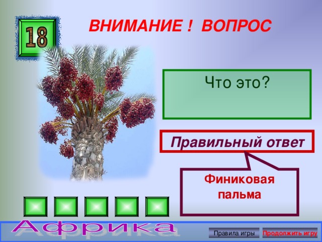 Финиковая пальма ВНИМАНИЕ ! ВОПРОС Что это? Правильный ответ Правила игры Продолжить игру