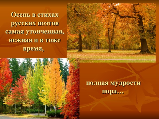Осень в стихах русских поэтов самая утонченная, нежная и в тоже время,  полная мудрости   пора…