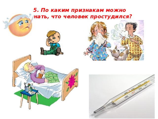 5. По каким признакам можно узнать, что человек простудился?