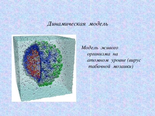 Динамическая модель Модель живого организма на атомном уровне (вирус табачной мозаики)