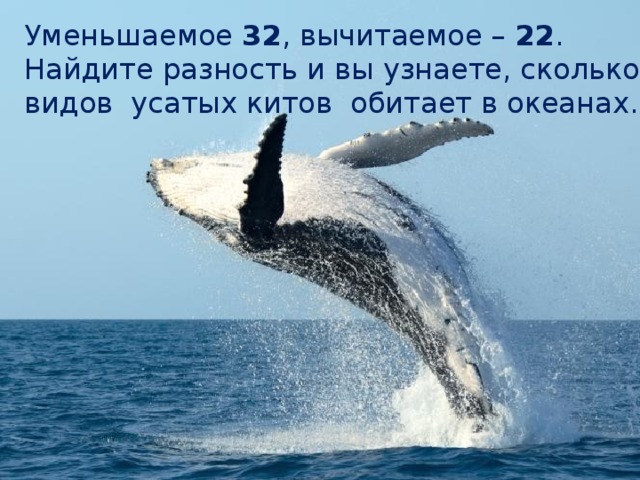 Делимое. Делитель Уменьшаемое 32 , вычитаемое – 22 . Найдите разность и вы узнаете, сколько видов усатых китов обитает в океанах.